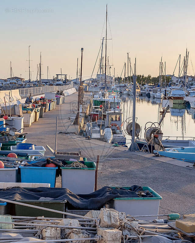 Commerce à SAINTES-MARIES-DE-LA-MER