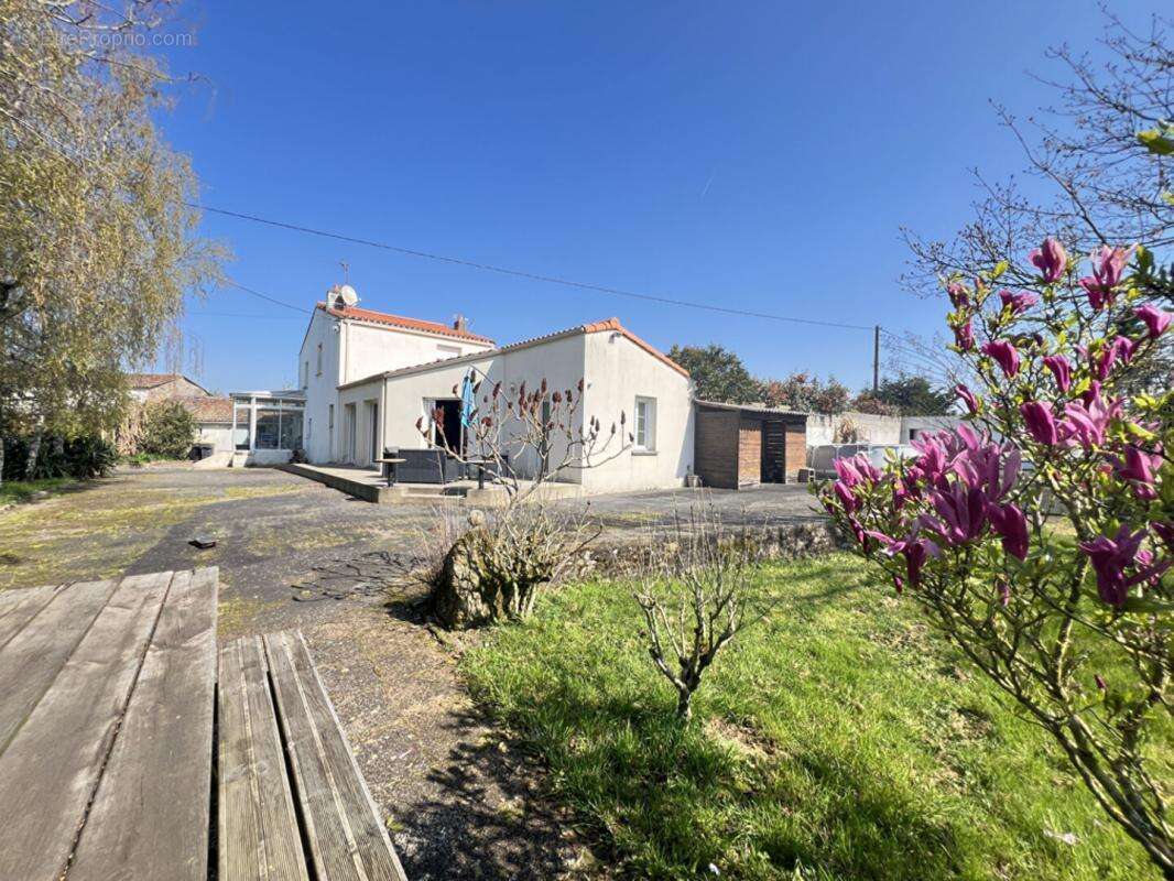 Maison Sevremoine 6 pièce(s) 141 m2 - photo 15