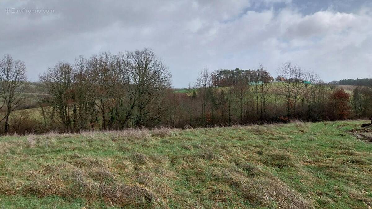 Terrain à SAINT-PIERRE-DE-CHIGNAC