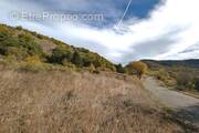Terrain à VAL-DE-CHALVAGNE
