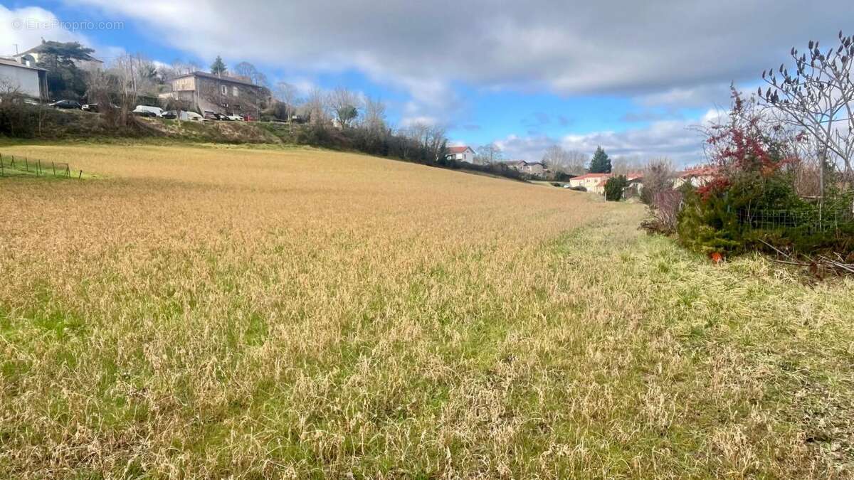 Terrain à SAINT-BENOIT-DE-CARMAUX