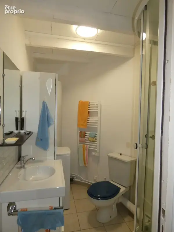 Maison 32 m² à Saint-Medard-La-Rochette  - photo 8