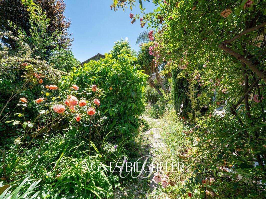 Maison à MONTESQUIEU-DES-ALBERES