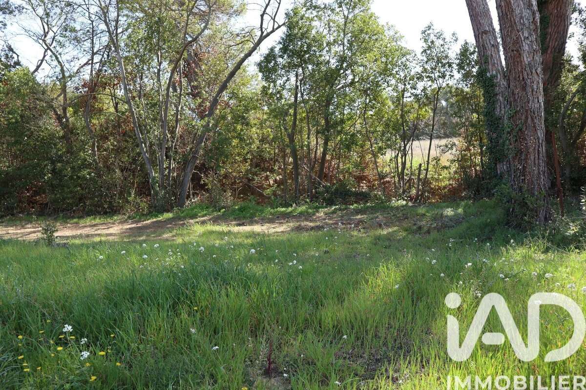 Photo 6 - Terrain à ESCALES