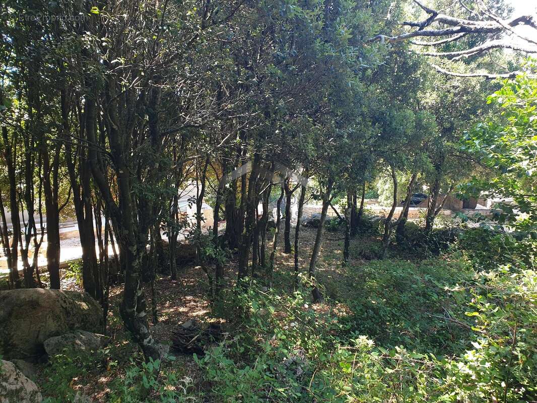 Terrain de 495 m² à L’Ospedale, Commune de Porto-Vecchio - photo 7