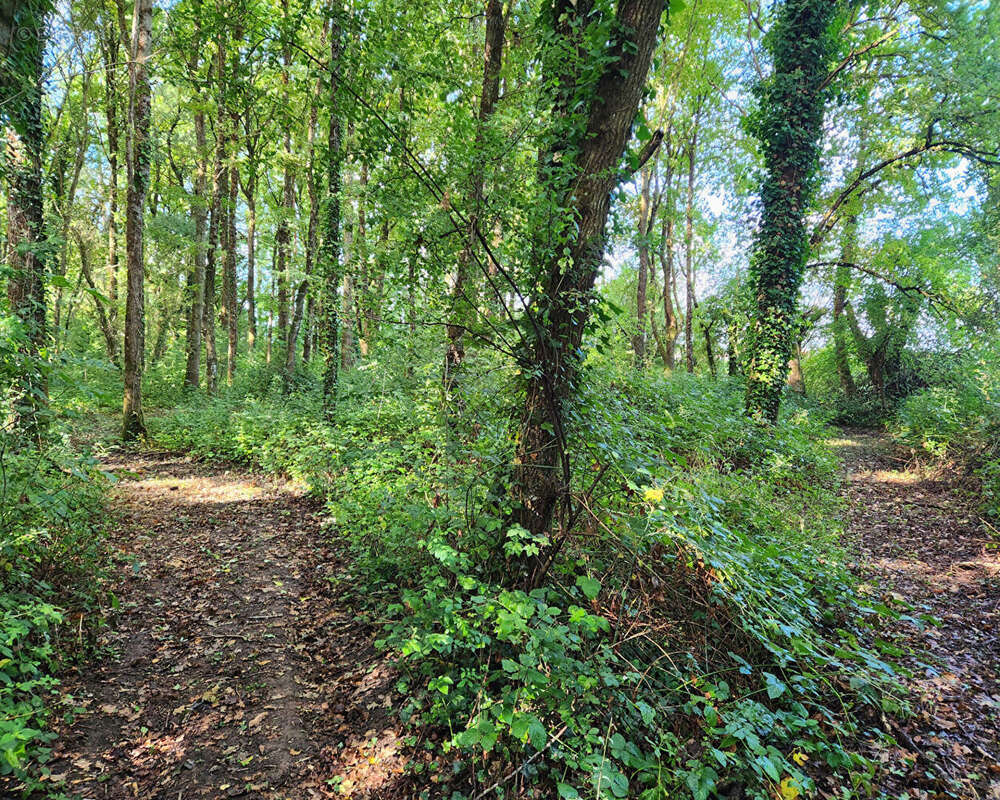 Maison à NEUVY-EN-SULLIAS