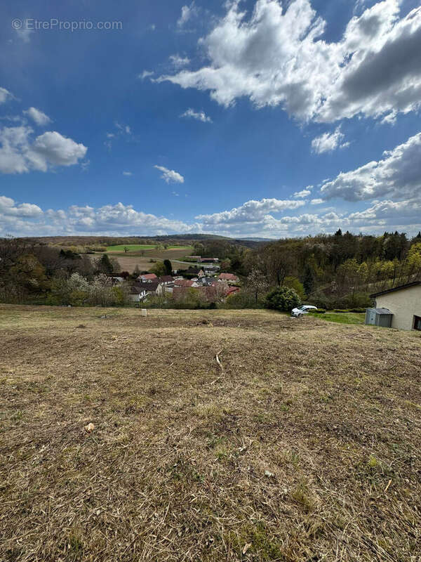 Terrain à ROUTELLE