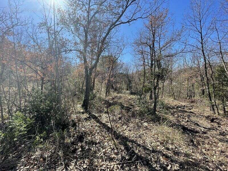 Terrain à MARQUIXANES