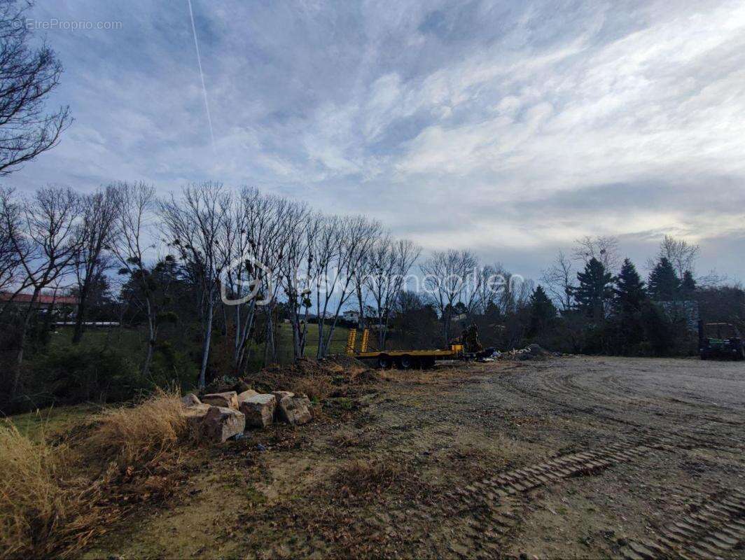 Terrain à bâtir 1 555 m² – Saint-Jean – Cadre boisé - photo 3