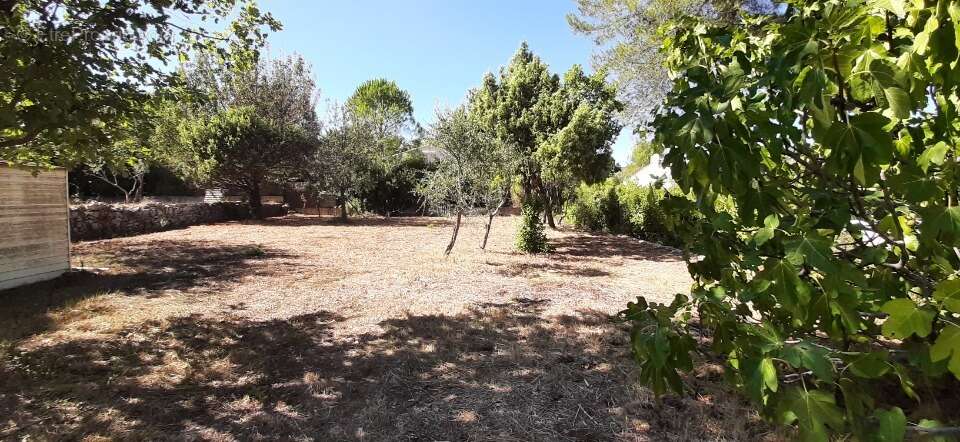 Terrain à DRAGUIGNAN