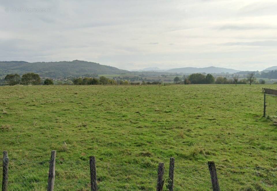 Terrain à CHABONS