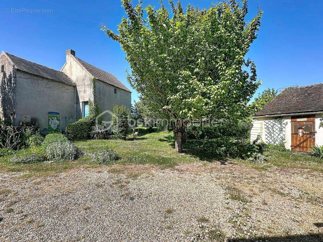 Longere + maison d'amis - photo 14