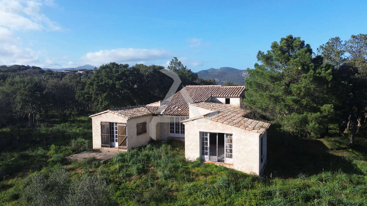 Maison à ZONZA