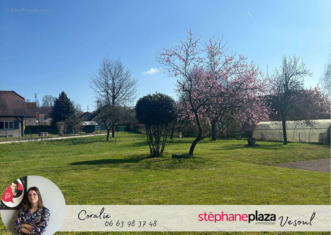 Maison à SCEY-SUR-SAONE-ET-SAINT-ALBIN