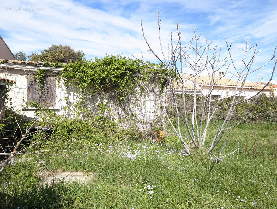 Maison à FRONTIGNAN