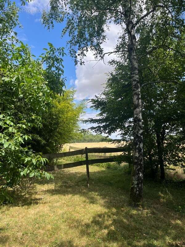 Longère à rénover ouzouer sous bellegarde (45) - photo 12