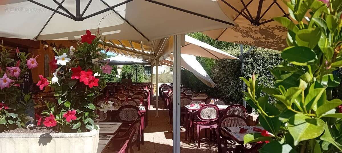 IMG20240924WA0006 - Commerce à TAMNIES