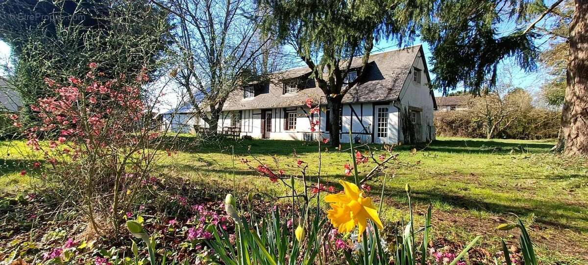 Maison à DAMVILLE