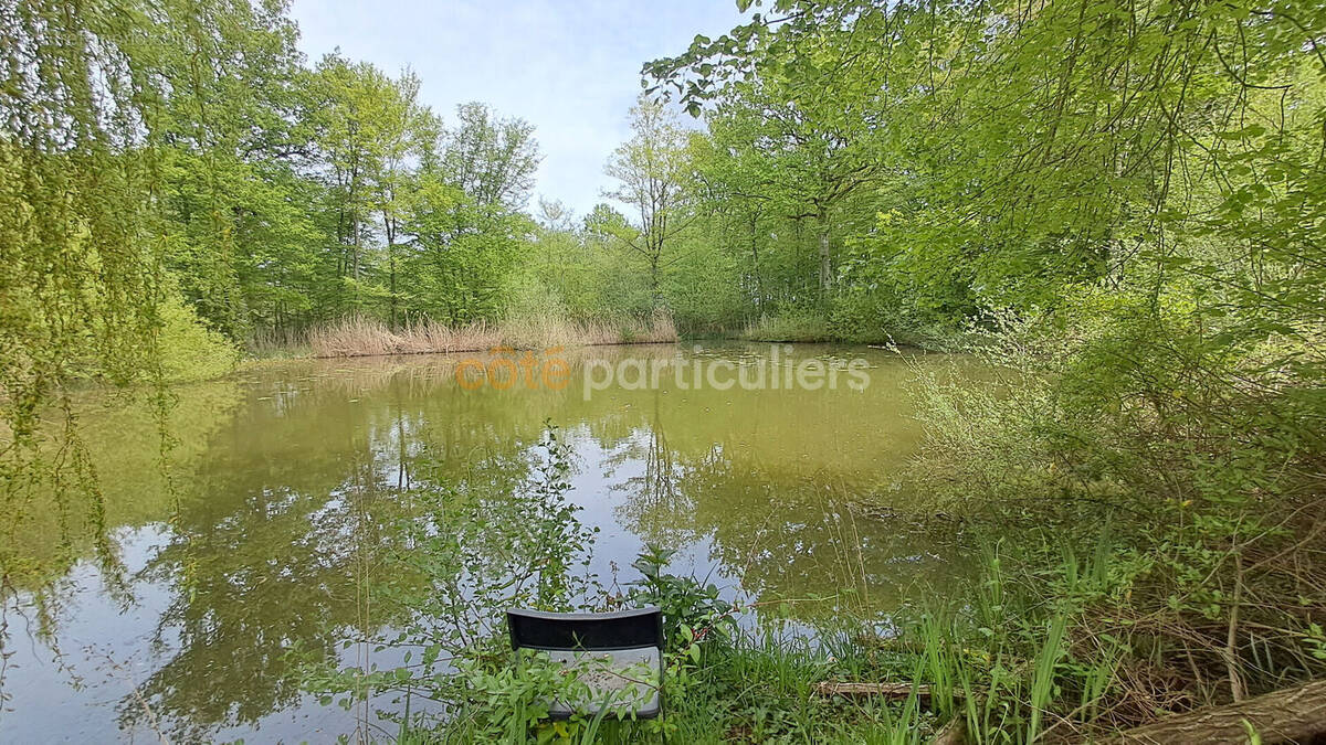 Terrain à CHEVILLON-SUR-HUILLARD