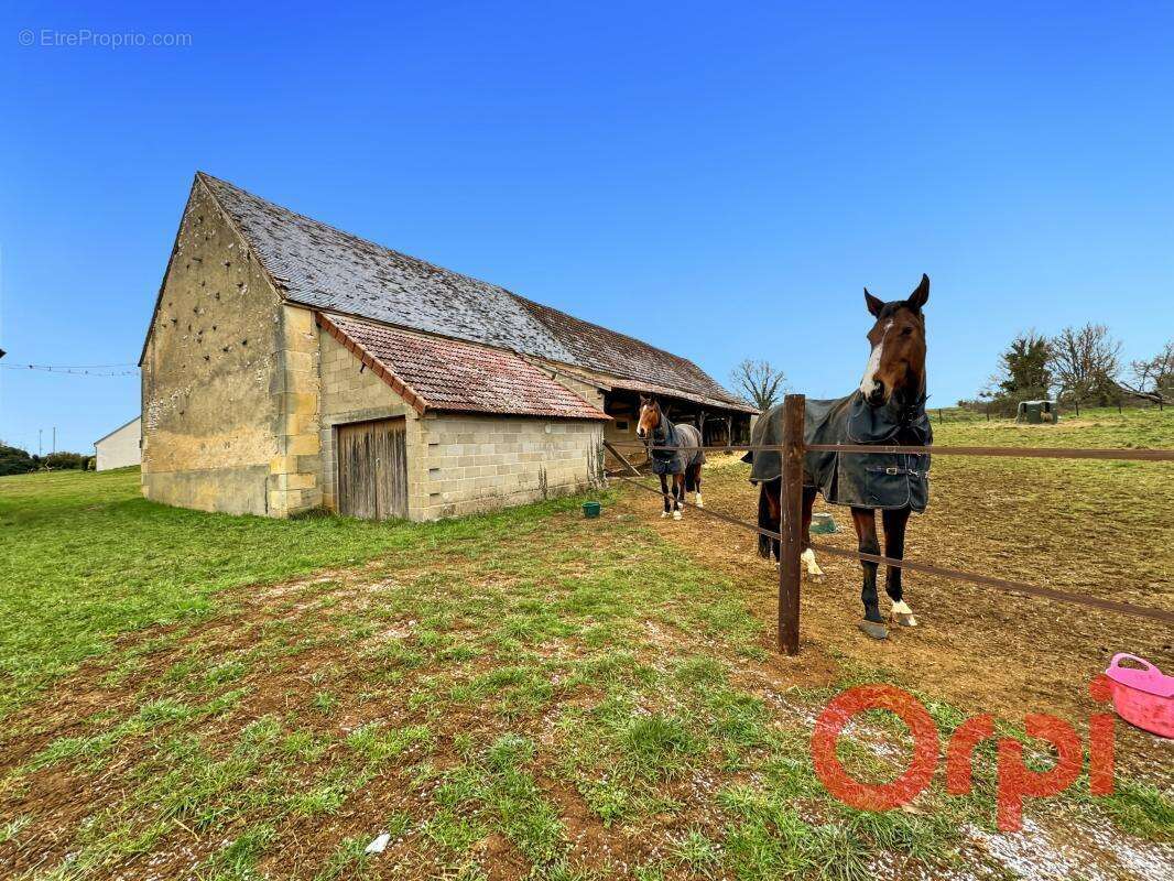 Maison à DUN-SUR-AURON
