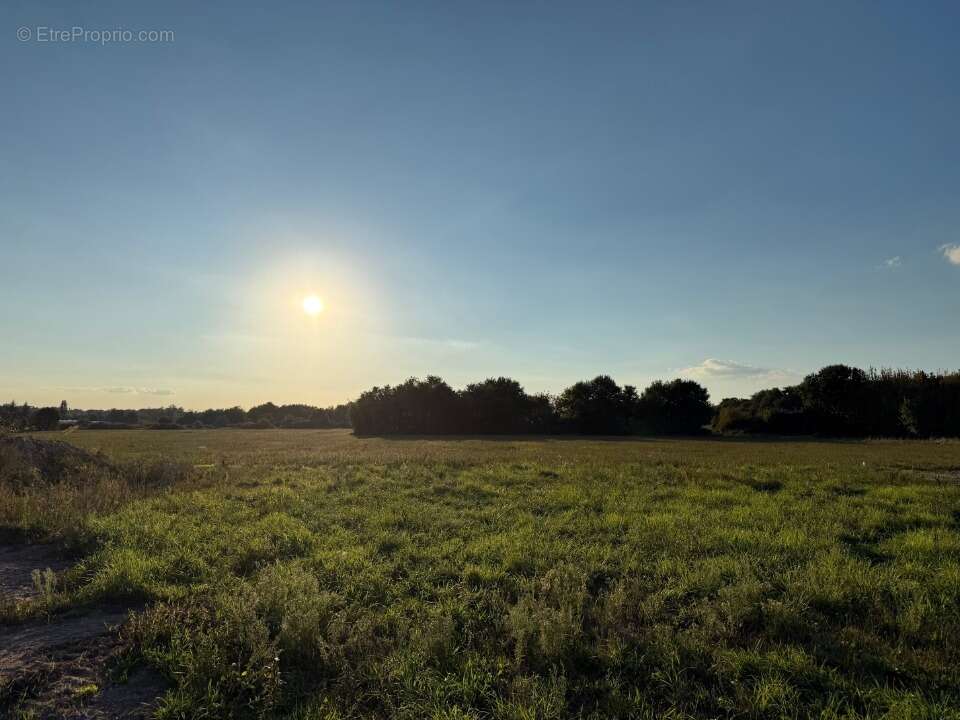 Terrain à SAVONNIERES