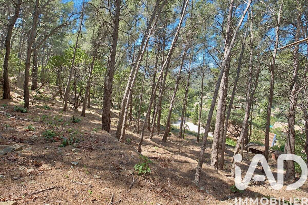 Photo 8 - Maison à CEYRESTE