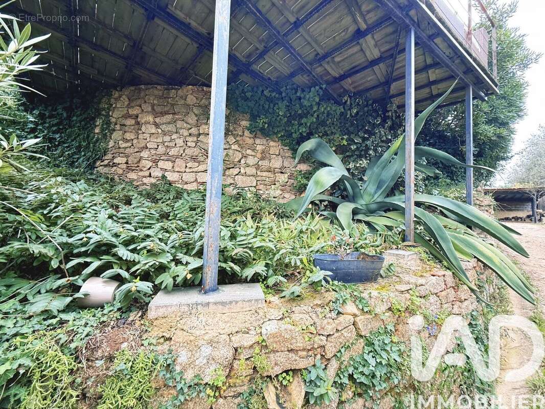 Photo 4 - Maison à LA GARDE-FREINET