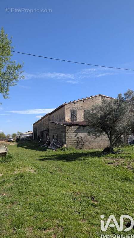 Photo 4 - Appartement à REDESSAN