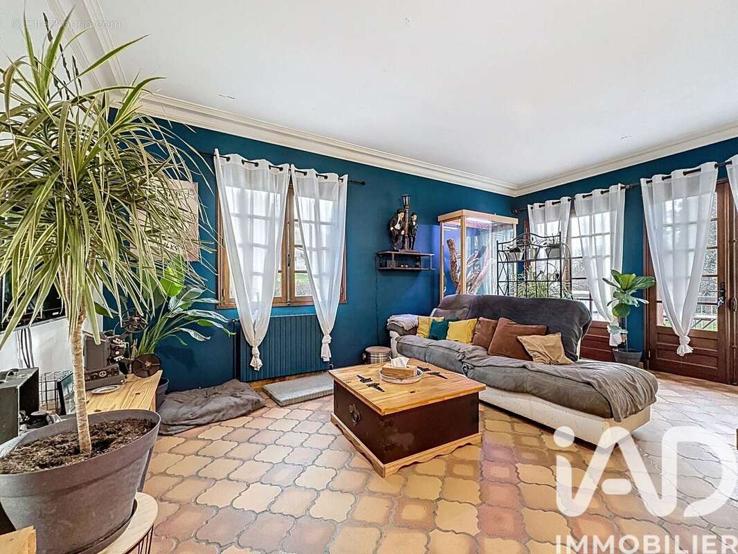 Photo 4 - Maison à MONTESQUIEU-VOLVESTRE