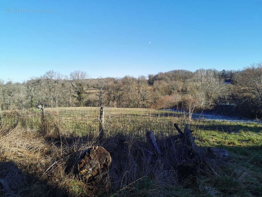 Terrain à LES ANCIZES-COMPS