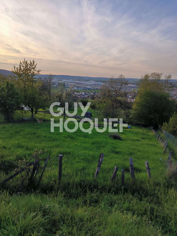 Terrain à ECHENOZ-LA-MELINE