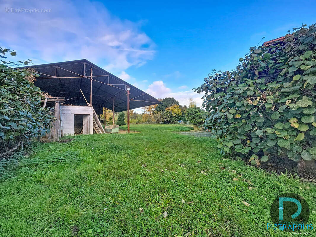 Maison à CORMORANCHE-SUR-SAONE