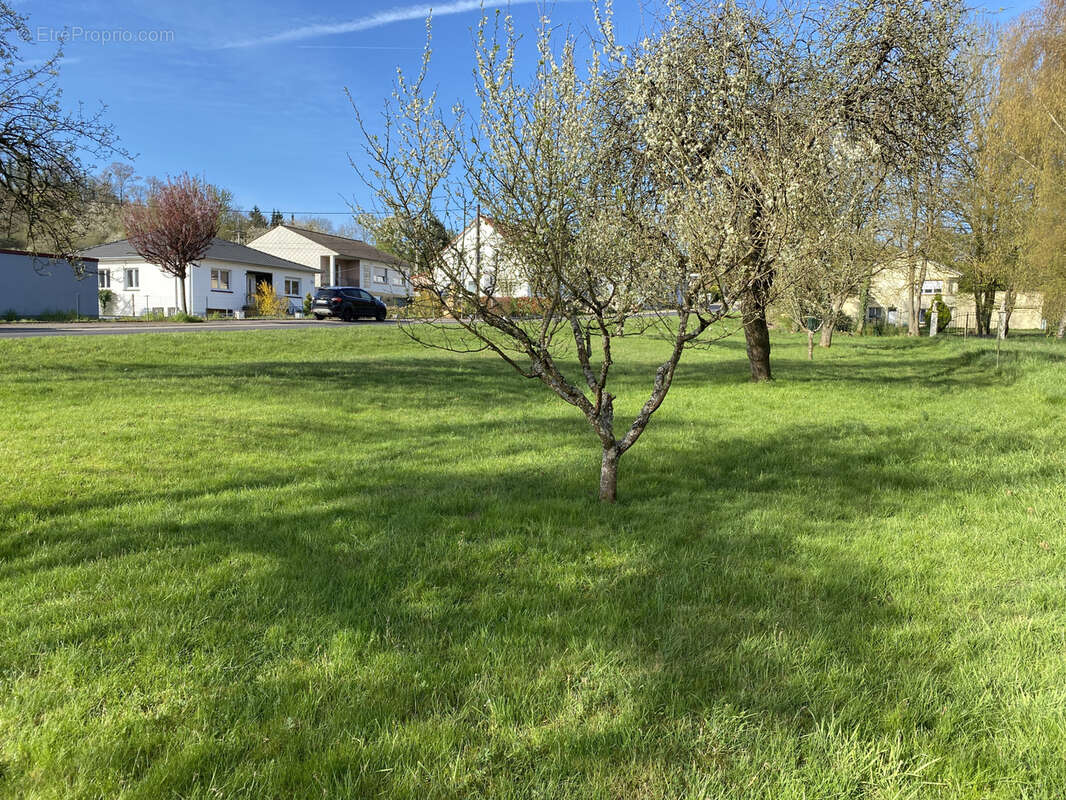 Terrain à HARGARTEN-AUX-MINES