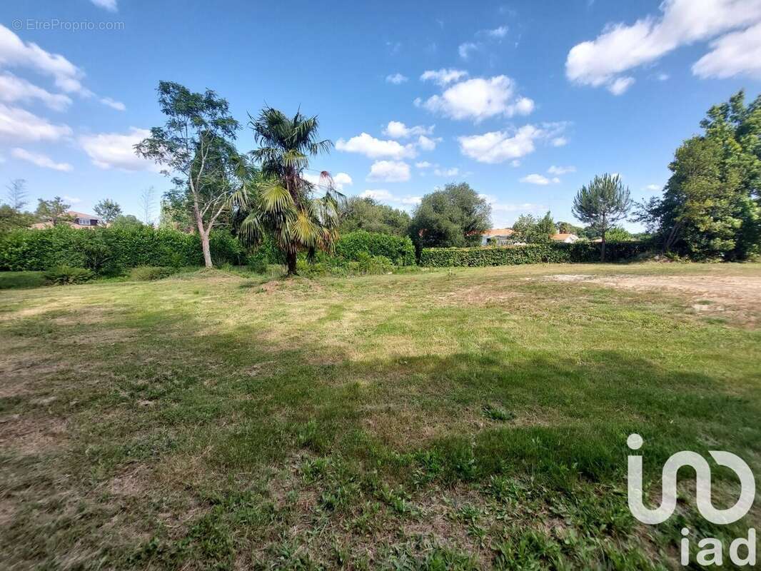 Photo 2 - Terrain à SAUGNAC-ET-CAMBRAN