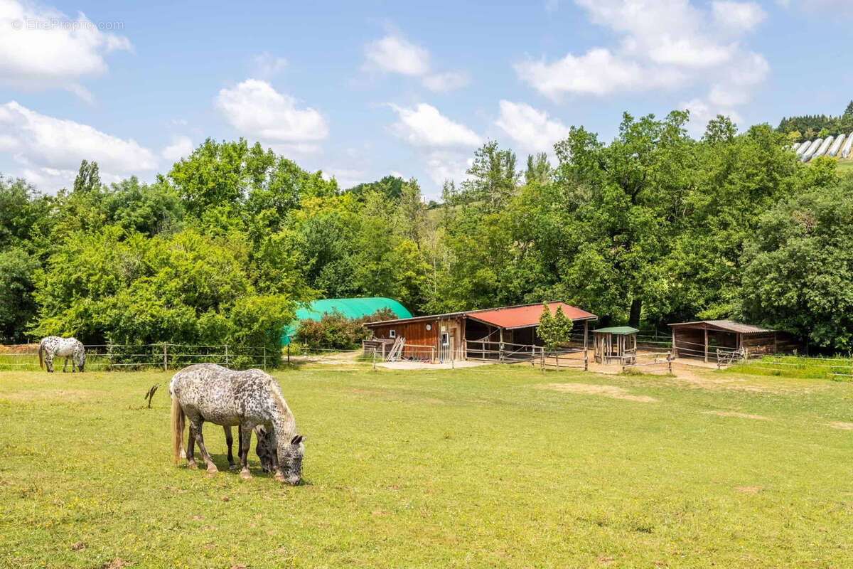 Propriete equestre - photo 7
