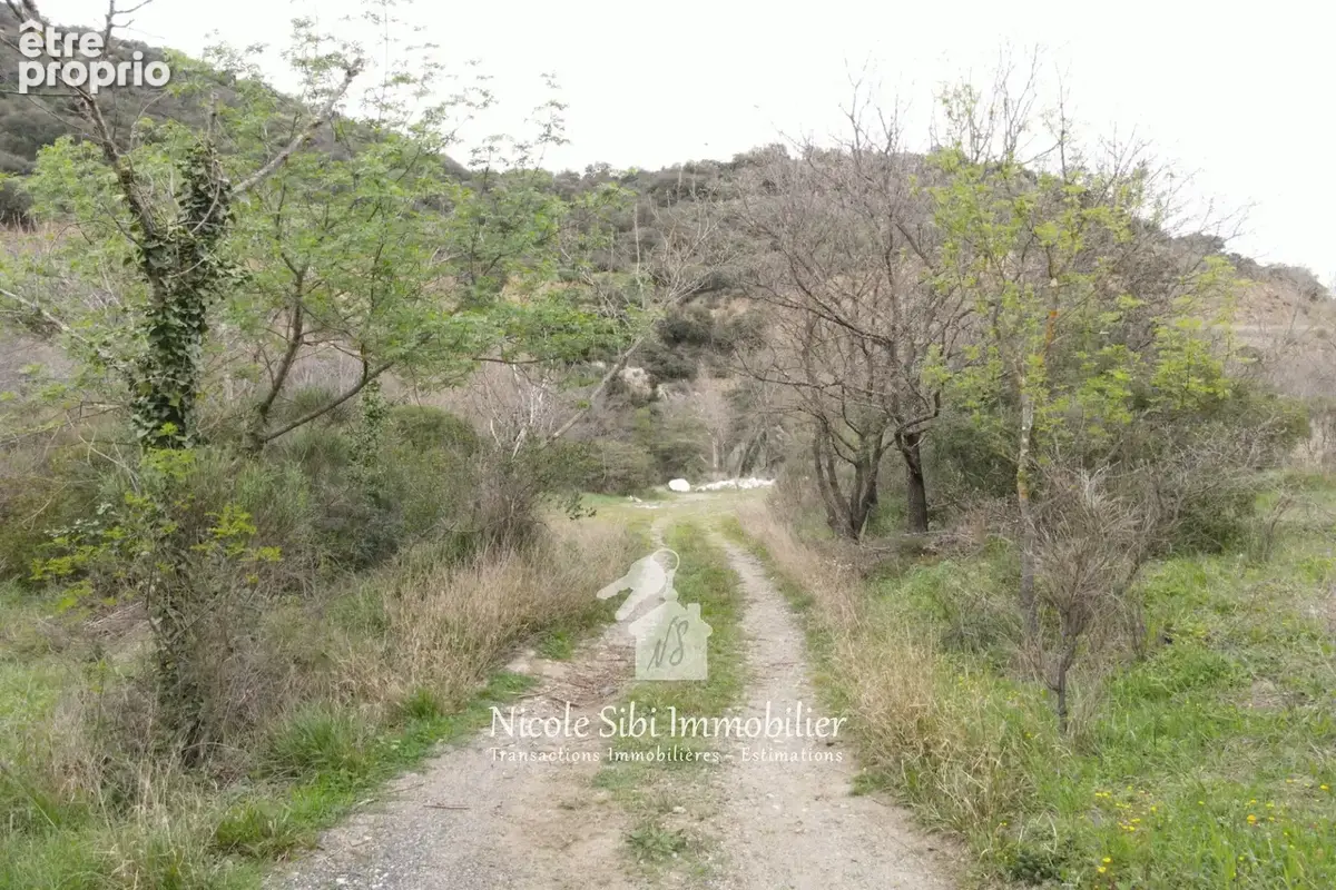 Terrain 6 705 m² à vendre à Rasigueres (66720) - photo 5