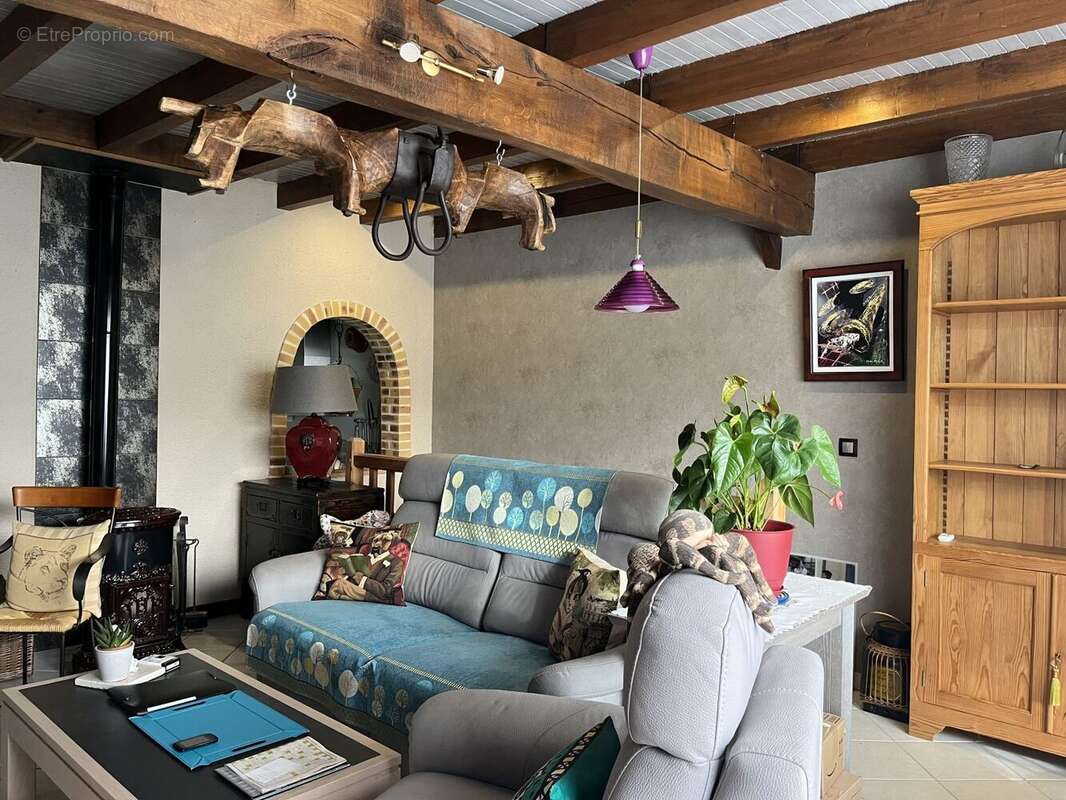 Salon - Maison à LATRONQUIERE