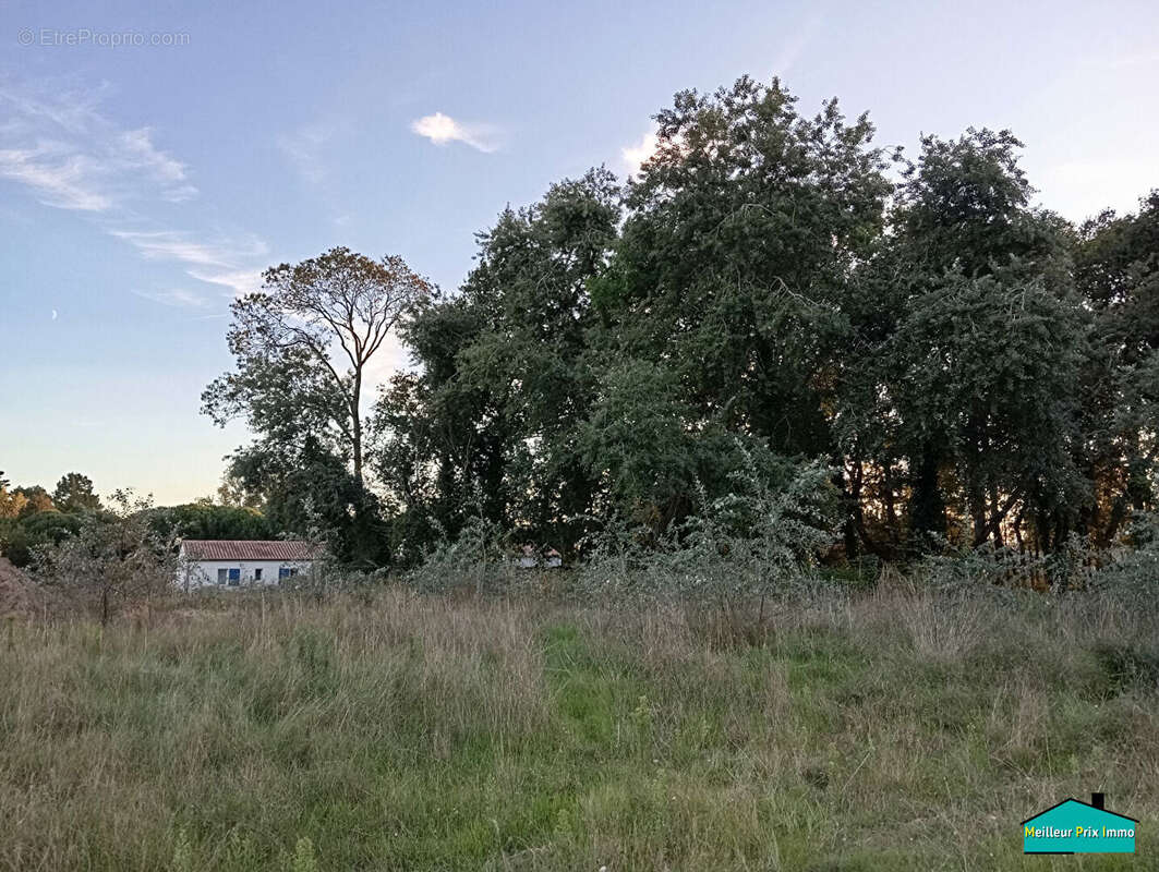 Terrain à SAINT-JEAN-DE-MONTS