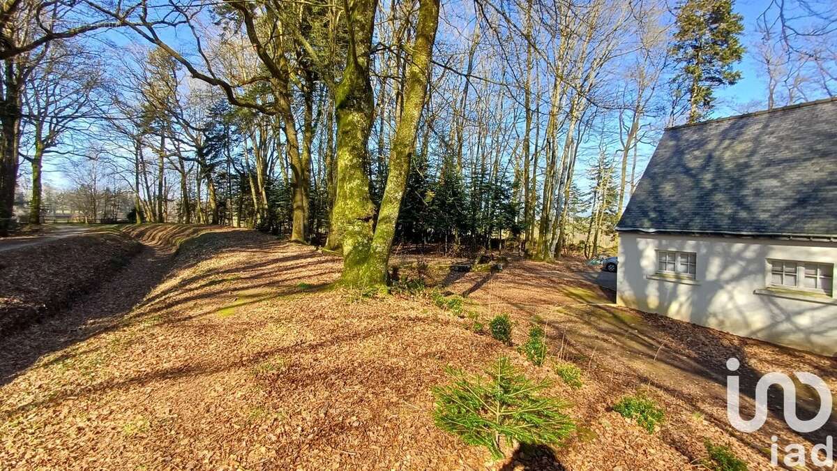 Photo 4 - Maison à SAINT-GONNERY