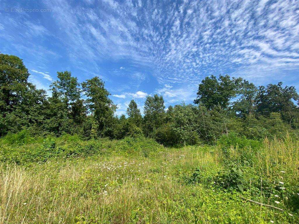 Dans un village agréable, proche d'un bourg - Terrain à MONTAIGU