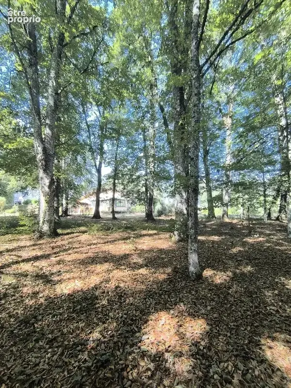 Maison coup de coeur - photo 32