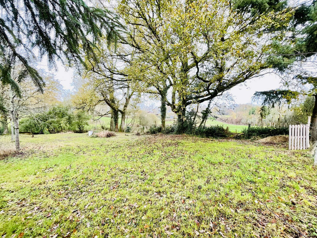 Maison à AVAILLES-LIMOUZINE