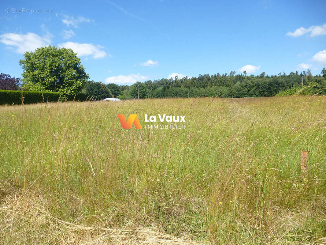 Terrain à LACHAPELLE