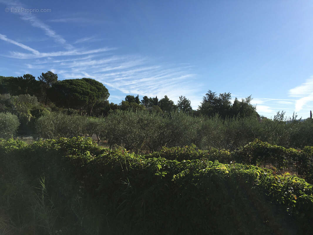 Maison à PLAN-DE-LA-TOUR