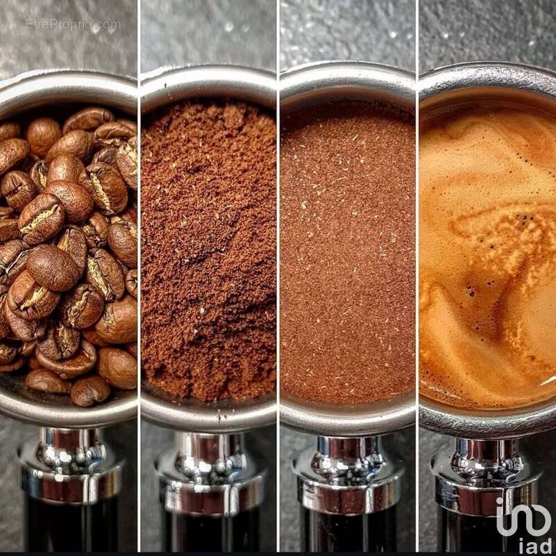 Photo 4 - Commerce à RIVEDOUX-PLAGE