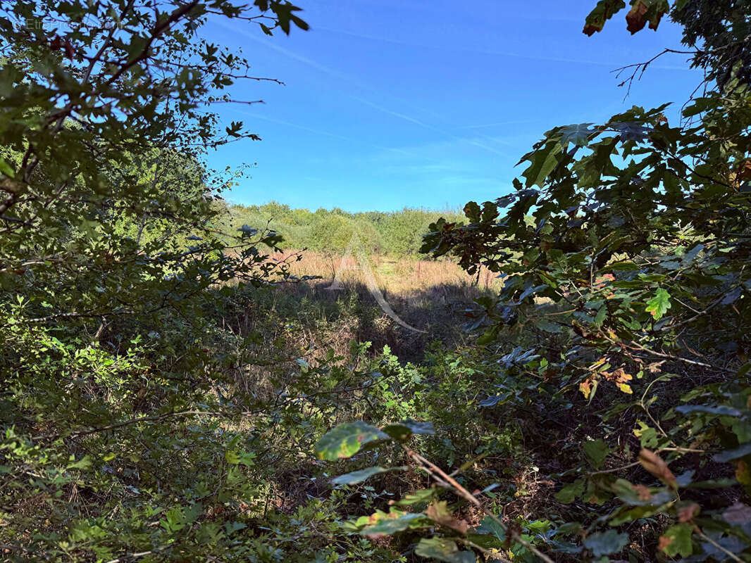 Terrain à LA FERTE-SAINT-AUBIN