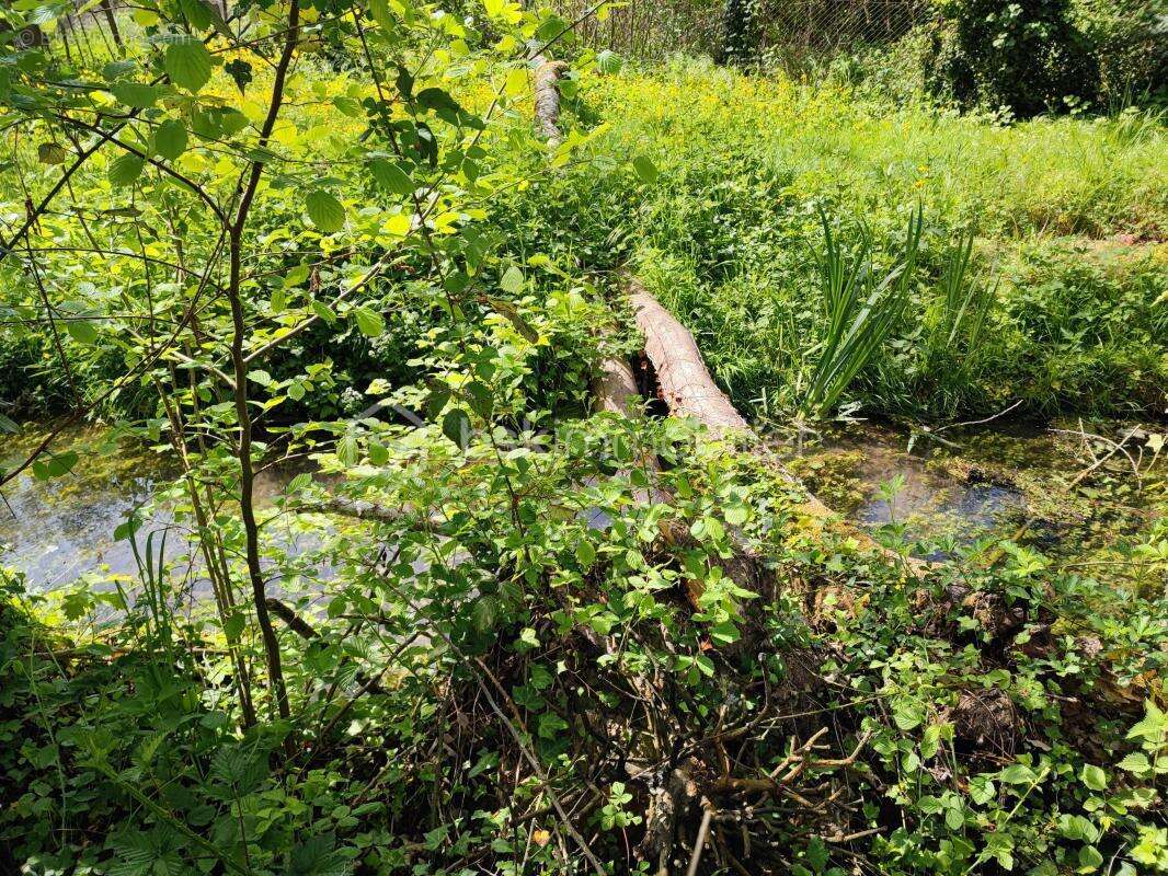 Terrain à VILLENEUVE-L'ARCHEVEQUE