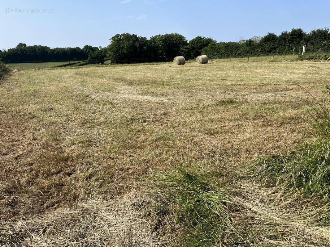 Terrain à MONDREPUIS