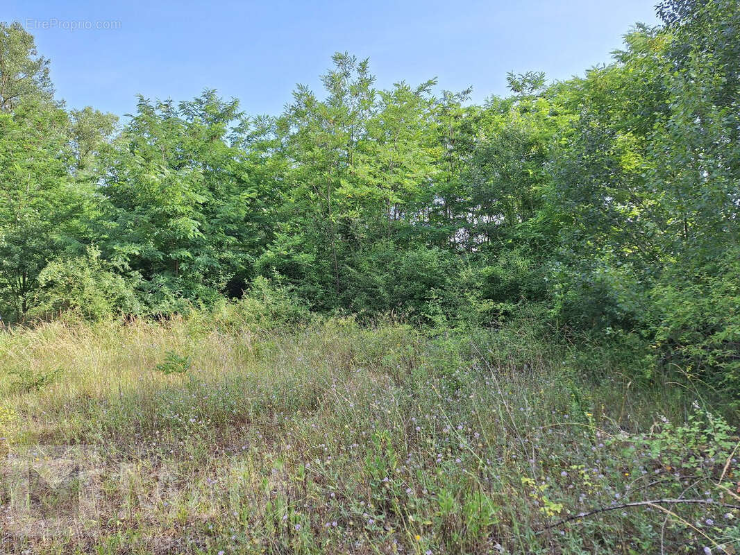 Grand Terrain Constructible - photo 3