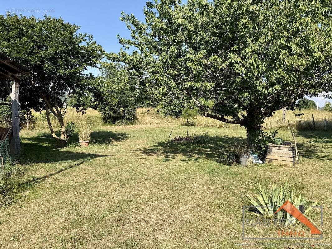 EXCLUSIVITÉ  Maison plain-pied grand hangar  1500 m² de terrain - photo 10